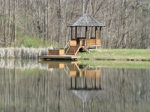 gazebo on a forest lakeside