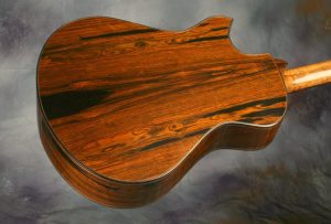 brazilian rosewood guitar