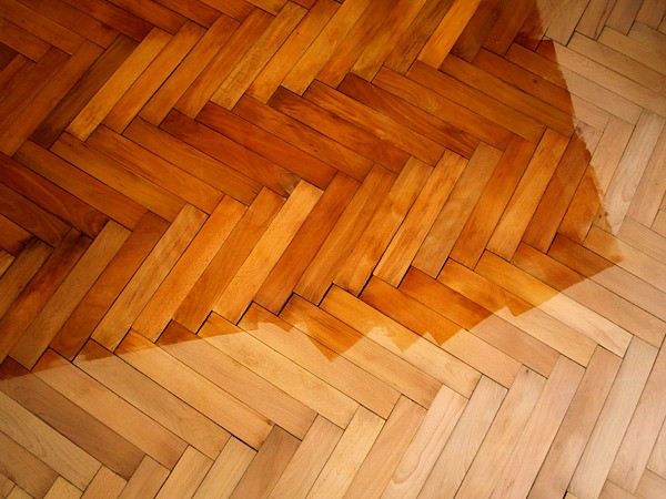Wood in Need of Professional Restoration