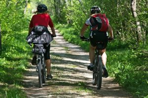 Two people biking on a forest trail