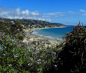 the beautiful landscape surrounding Laguna Bay in Laguna Beach, CA