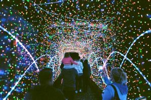 A family walking through a hedge tunnel decorated with twinkling holiday lights