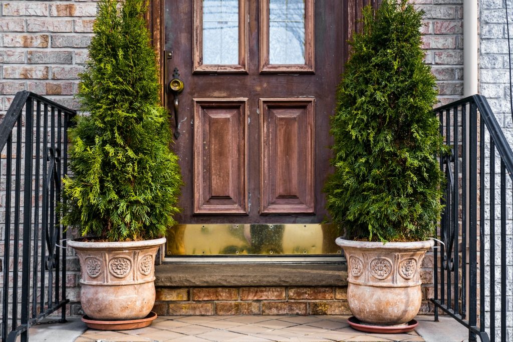 A brown wooden front door with two matching plants on both sides